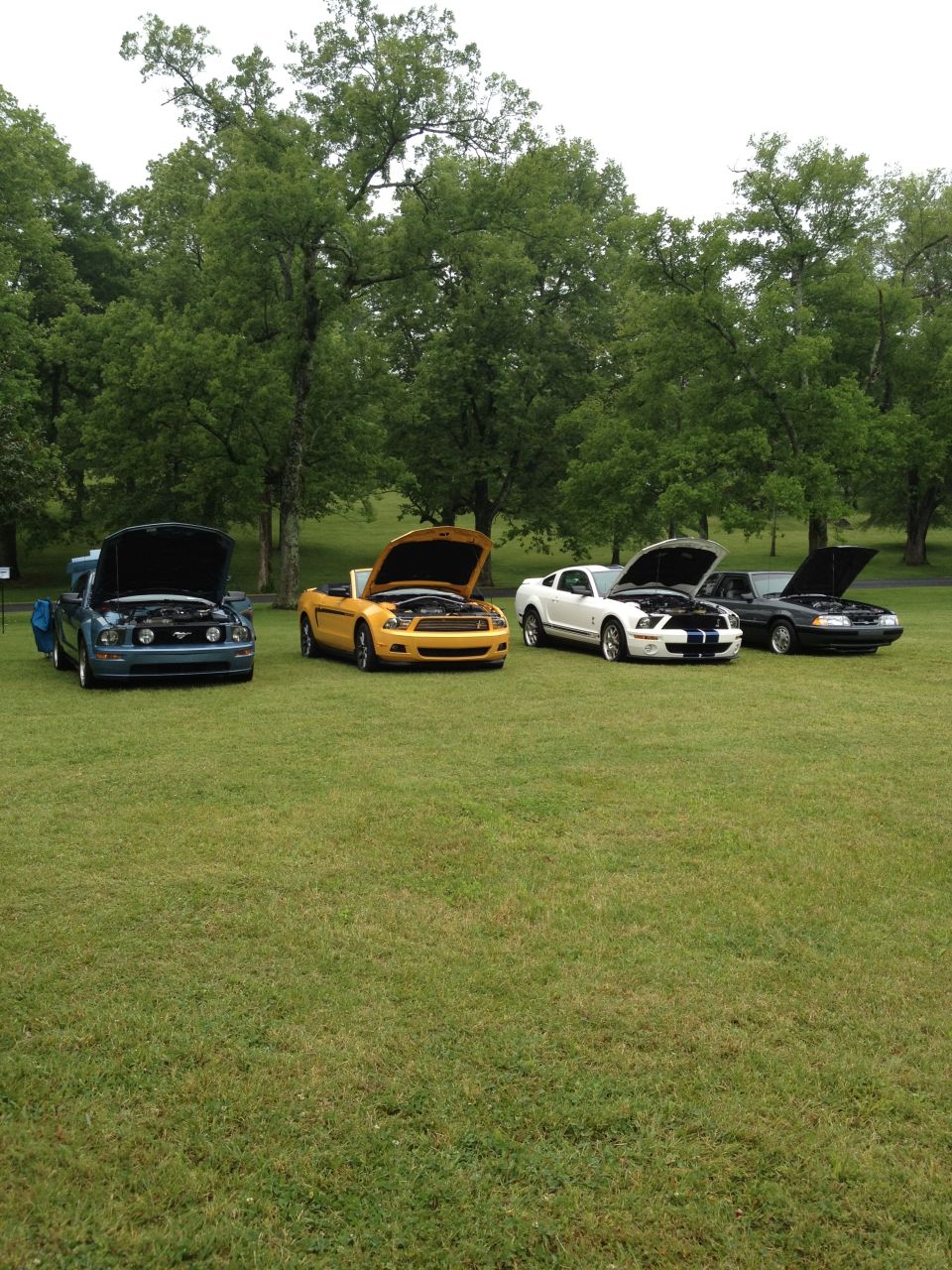 Four Ford Mustangs parked on grass, hoods up. Blue, yellow, white, and black models are visible from the front