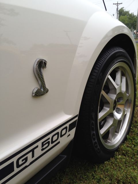 2007 Ford Mustang - Side profile of a white 2007 Ford Mustang Shelby GT500, the iconic cobra emblem and GT500 side stripe.