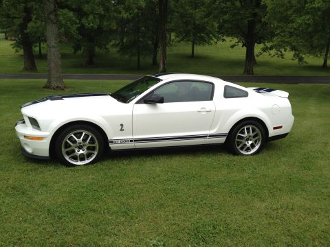 2007 Ford Mustang - A white 2007 Ford Mustang GT500 is shown from the side, parked on a grassy lawn with trees.