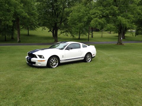 2007 Ford Mustang - A white Ford Mustang GT500 with blue racing stripes is parked on a grassy lawn with trees in the background.