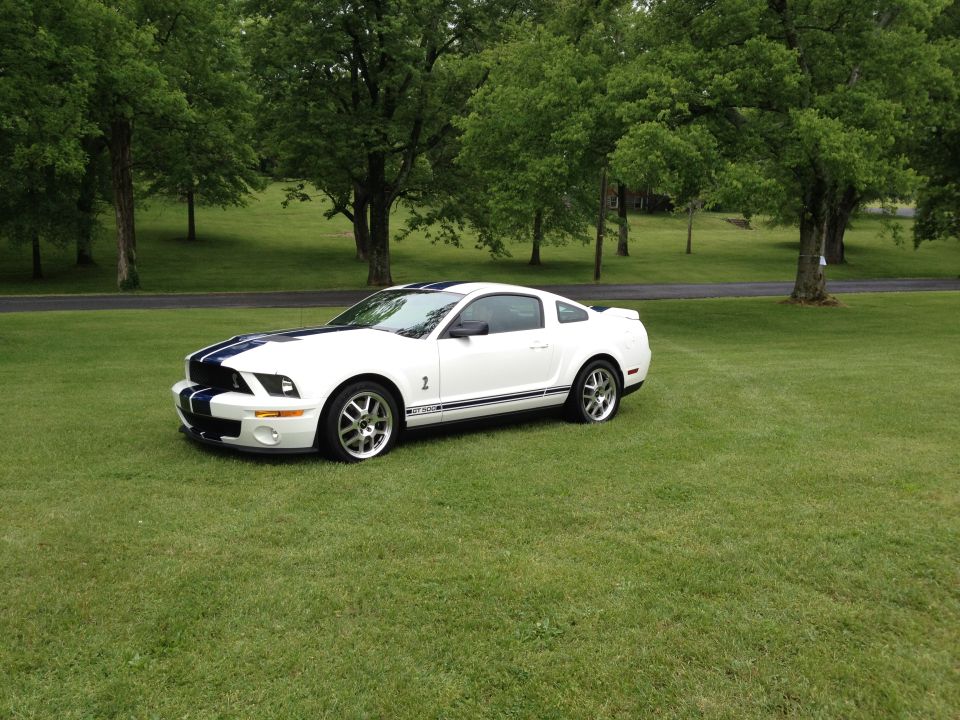 White Ford Mustang GT500 with blue racing stripes parked on a grassy lawn