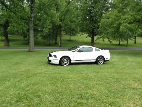 2007 Ford Mustang - A white 2007 Ford Mustang Shelby GT500 with blue racing stripes is parked on a grassy lawn with trees in the background.
