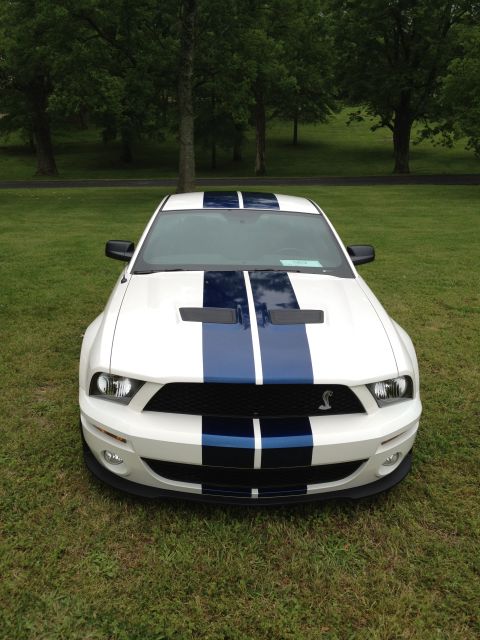 2007 Ford Mustang - A white 2007 Ford Mustang Shelby GT500 with blue racing stripes is shown from the front on a grassy field.