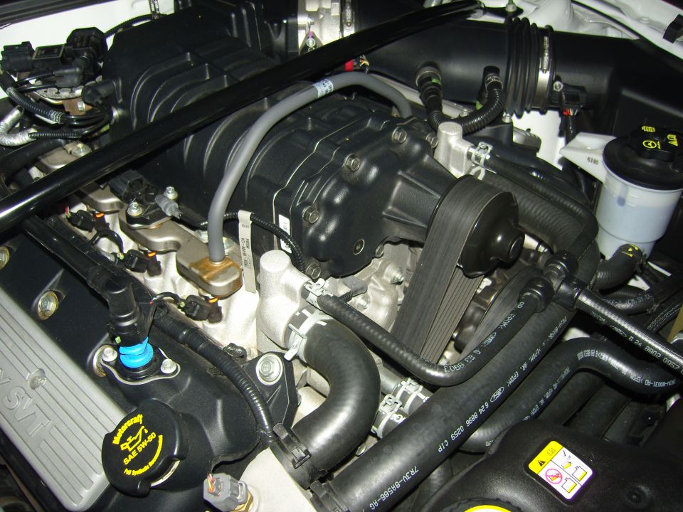 Engine bay with supercharger and Ford Mustang SVT branding