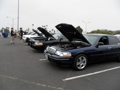 2003 Ford Crown Victoria - Blue Crown Victoria fronts a row of Panther-platform sedans with hoods raised under gray sky.