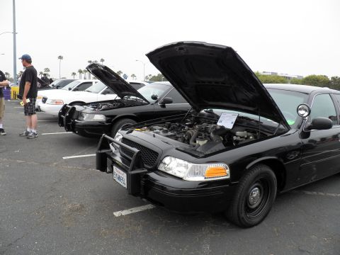 2003 Ford Crown Victoria - Black Crown Victoria with brush guard leads a row of open-hood cars in a parking lot meet.