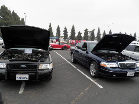 2003 Ford Crown Victoria - Black Ford with brush guard beside a blue sedan, vanity plate BLUE V8, classic cars behind.