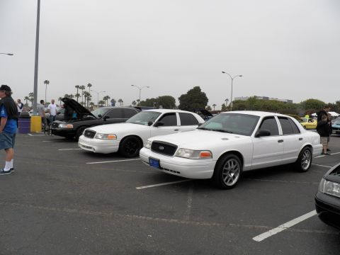 2003 Ford Crown Victoria - White Crown Victoria on polished wheels beside a black sedan in a palm-lined parking lot meet.