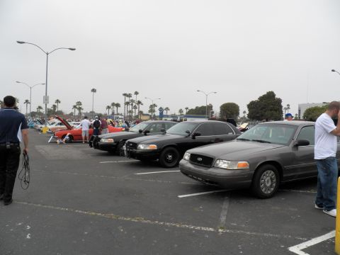 2003 Ford Crown Victoria - Gray and black Panther sedans line a parking lot under overcast sky, attendees at the sides.