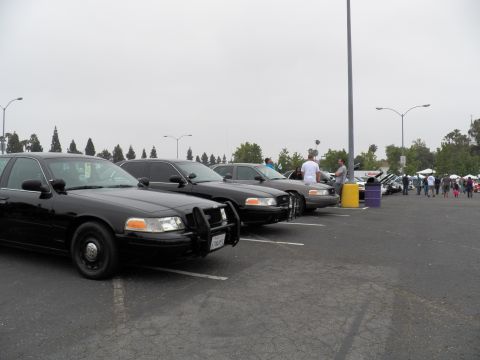 2003 Ford Crown Victoria - Black Crown Victorias parked in a row, attendees and a motorcycle visible across the lot.