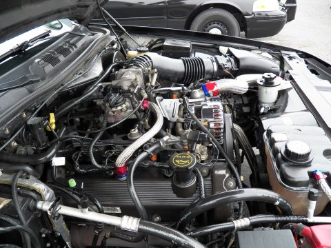 2003 Ford Crown Victoria - Detailed V8 engine compartment with braided lines and red and blue anodized fittings.