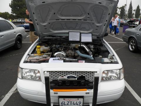 2003 Ford Crown Victoria - Front view of white Crown Victoria, hood raised over detailed engine, California 6LZT449 plate.