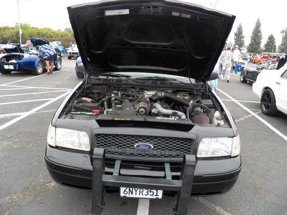 Black Ford Crown Victoria with push bar, open hood, 6NYR351 California plate at show