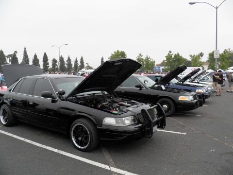 2003 Ford Crown Victoria - Several black Crown Victorias lined up in a lot, hoods raised, on black aftermarket wheels.