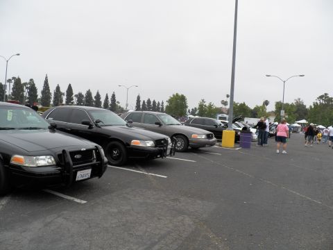 2003 Ford Crown Victoria - Line of black Crown Victoria interceptors parked at a show, spectators walking nearby.