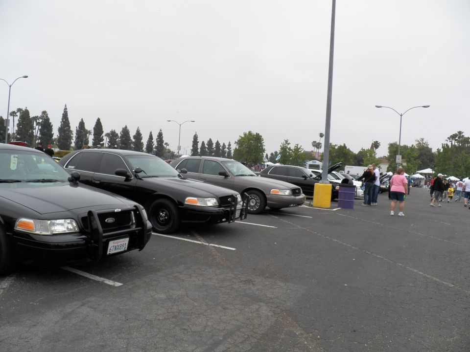 Black Ford Crown Victoria police sedans parked in a row in a parking lot