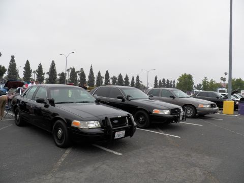 2003 Ford Crown Victoria - Three black Crown Victorias parked in a lot, lead car has brush guard and California plate.