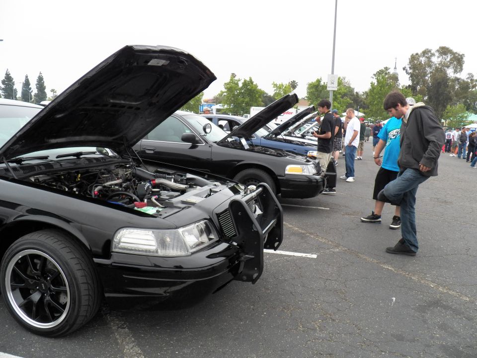 Black Ford Crown Victoria sedans with open hoods, spectators viewing engines