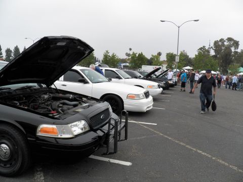 2003 Ford Crown Victoria - Mixed black and white Crown Victorias lined up with hoods open, crowd walking the lot.