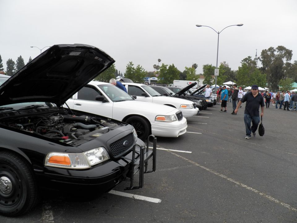 Row of black and white Ford Crown Victoria sedans with hoods raised at car show