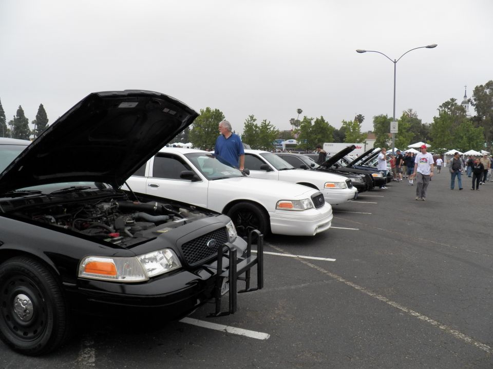 Black and white Ford Crown Victoria sedans parked in a row, hoods open at show