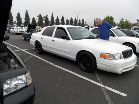 2003 Ford Crown Victoria - Lowered white Crown Victoria with black wheels, attendee leaning over the front fender.