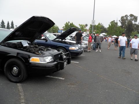 2003 Ford Crown Victoria - Black Crown Victoria with brush guard and raised hood, more sedans and crowd behind.