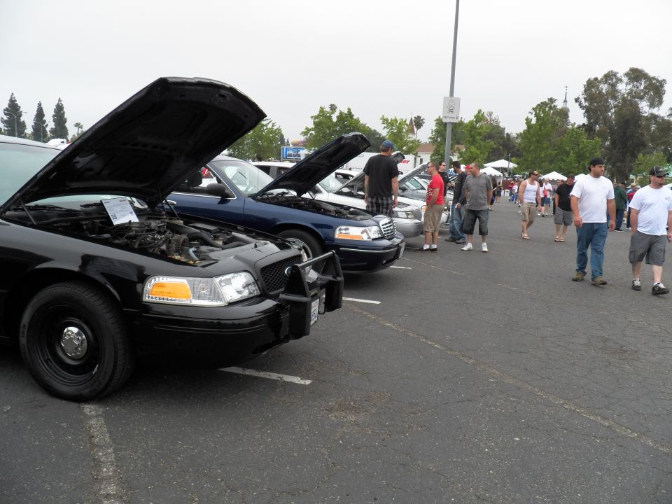 Black Ford Crown Victoria with open hood leading a row of sedans at outdoor show