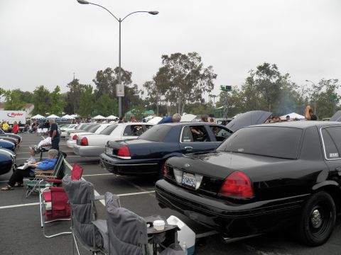 2003 Ford Crown Victoria - Line of Ford sedans, black and white, parked nose-to-tail at a car show with vendor tents in the distance.