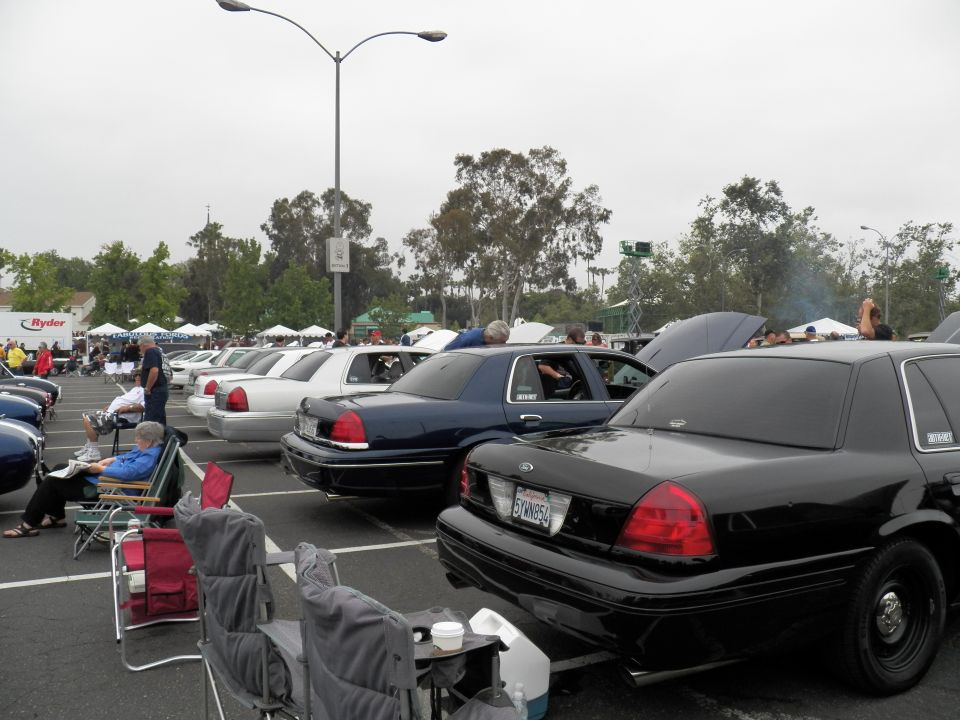 Row of black and white Ford Crown Victoria sedans parked at outdoor car meet