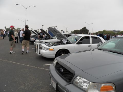 2003 Ford Crown Victoria - Several Ford sedans displayed with hoods raised; spectators walk between gray, white and silver cars.