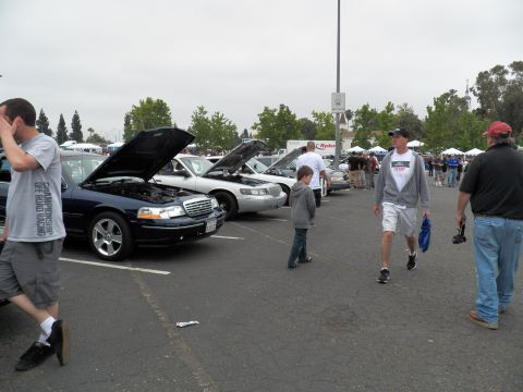 2003 Ford Crown Victoria - Attendees walk past a line of sedans with raised hoods in a parking lot under an overcast sky.