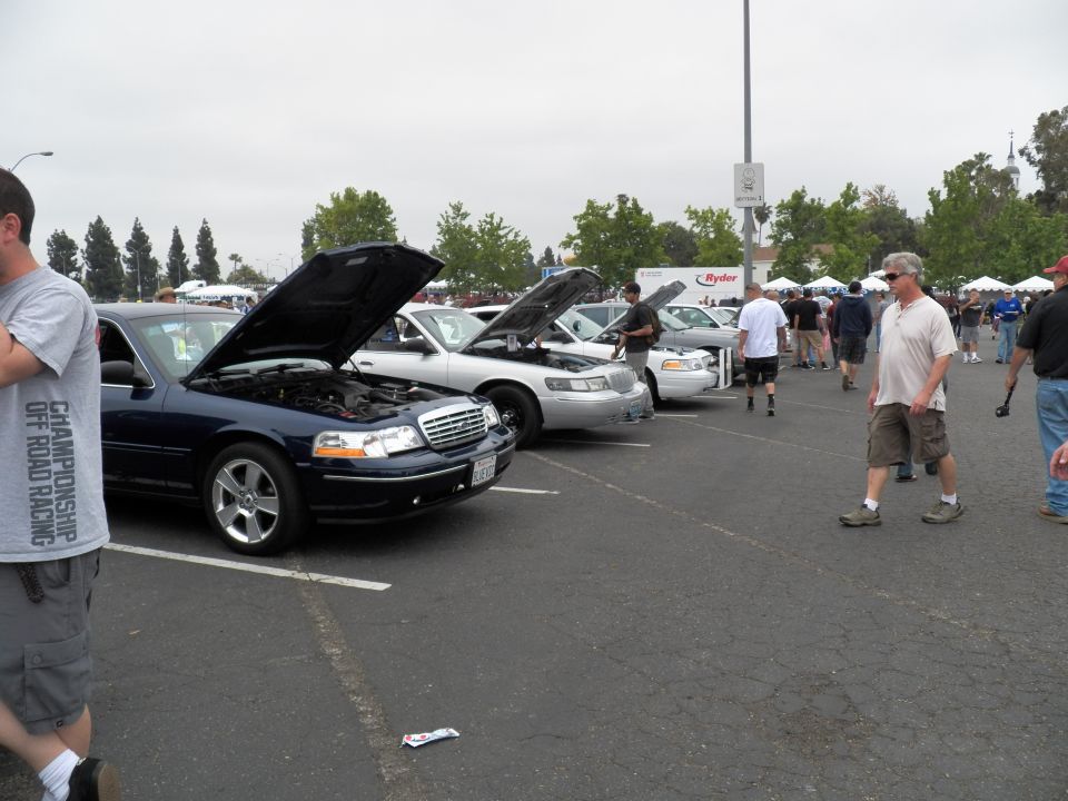 Blue and white Ford sedans with open hoods in a row at outdoor parking-lot car meet