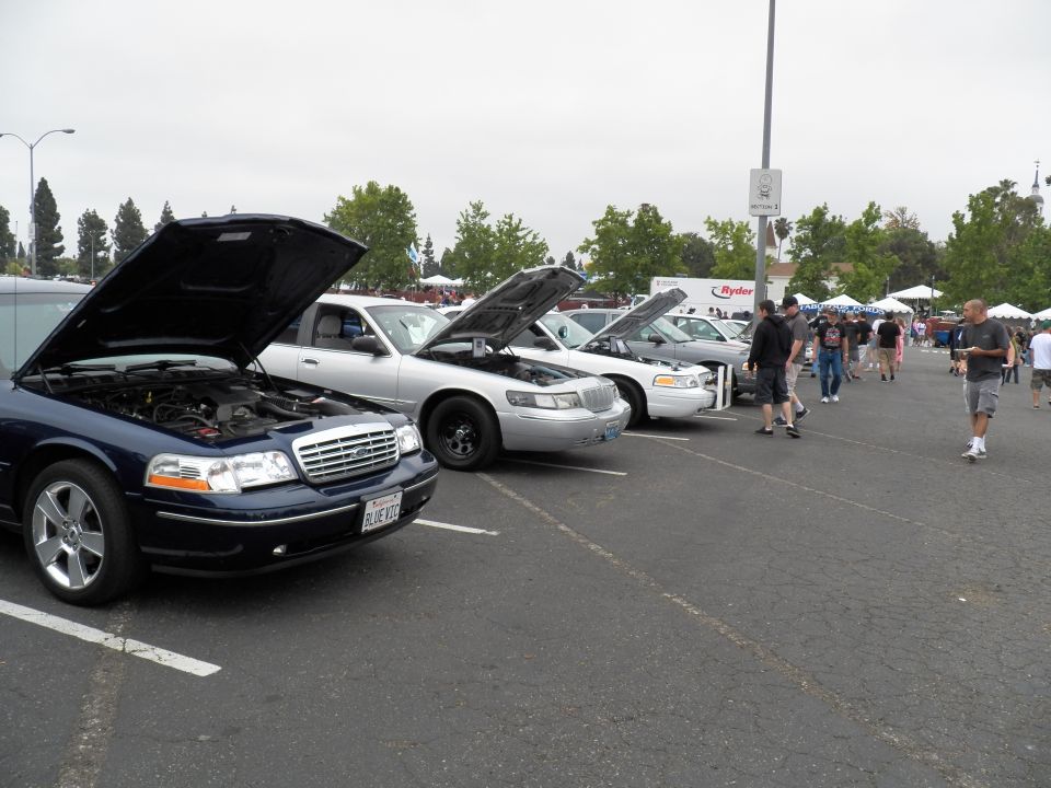 Blue Ford Crown Victoria and white sedans with hoods up lined along car-show lot