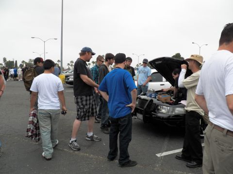 2003 Ford Crown Victoria - Spectators gather at a white sedan's open hood as one man explains the engine details to onlookers.