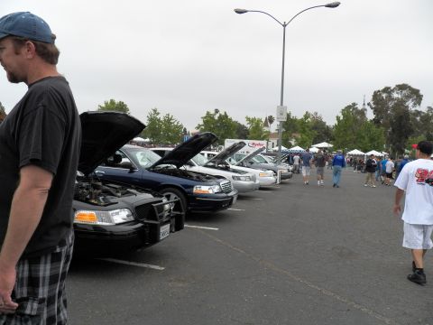 2003 Ford Crown Victoria - line of show vehicles with open hoods stretches across a parking lot under overcast sky.