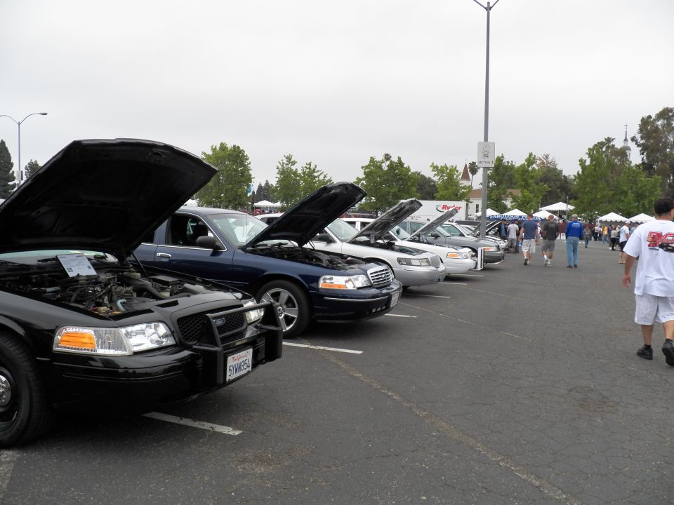Black Ford sedan with brush guard and raised hood leading a row of show cars