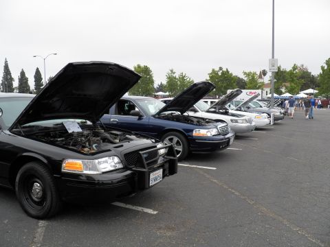 2003 Ford Crown Victoria - Multiple black sedans with grille guards sit hood-up in a row at an overcast car show.