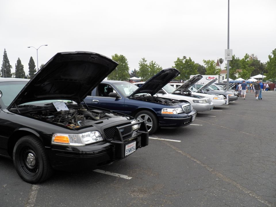 Black sedans with brush guards and open hoods lined up at outdoor car show