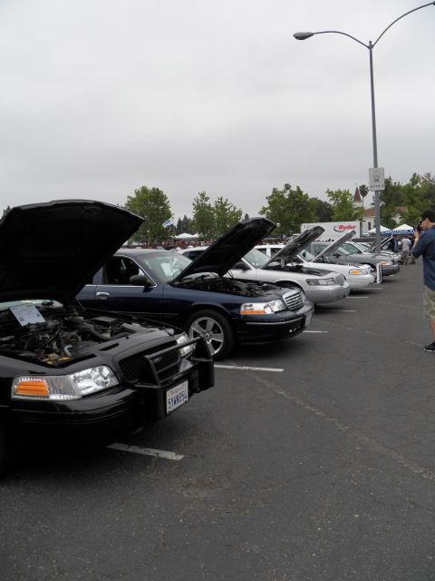 2003 Ford Crown Victoria - column of sedans with open hoods recedes down a parking-lot aisle at an outdoor meet.