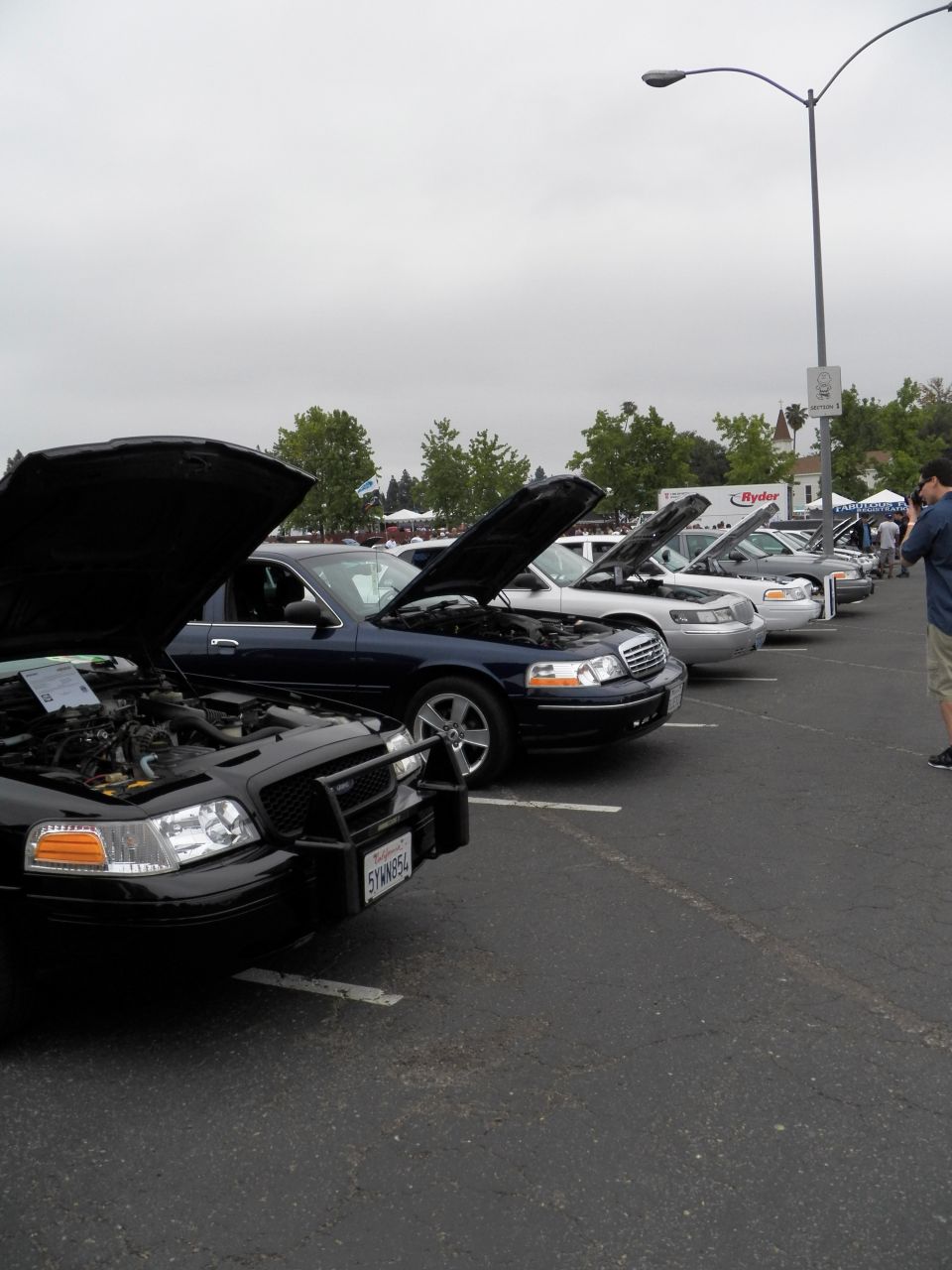 Vertical view of black and blue sedans with raised hoods at car show