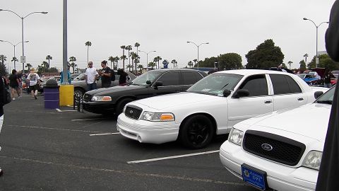 2003 Ford Crown Victoria - White and black Ford sedans line a show parking lot with palm trees in the background.