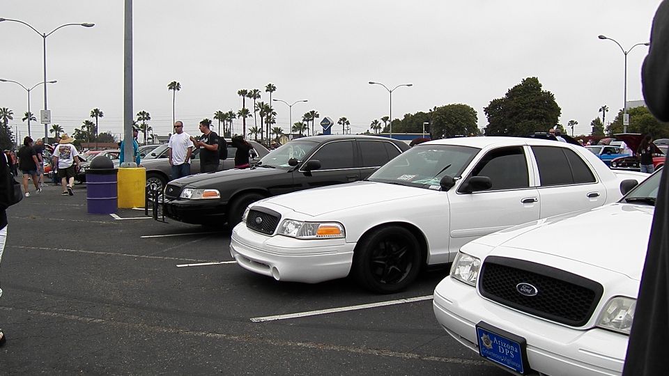 White and black Ford sedans parked in a row at a car show with palm trees