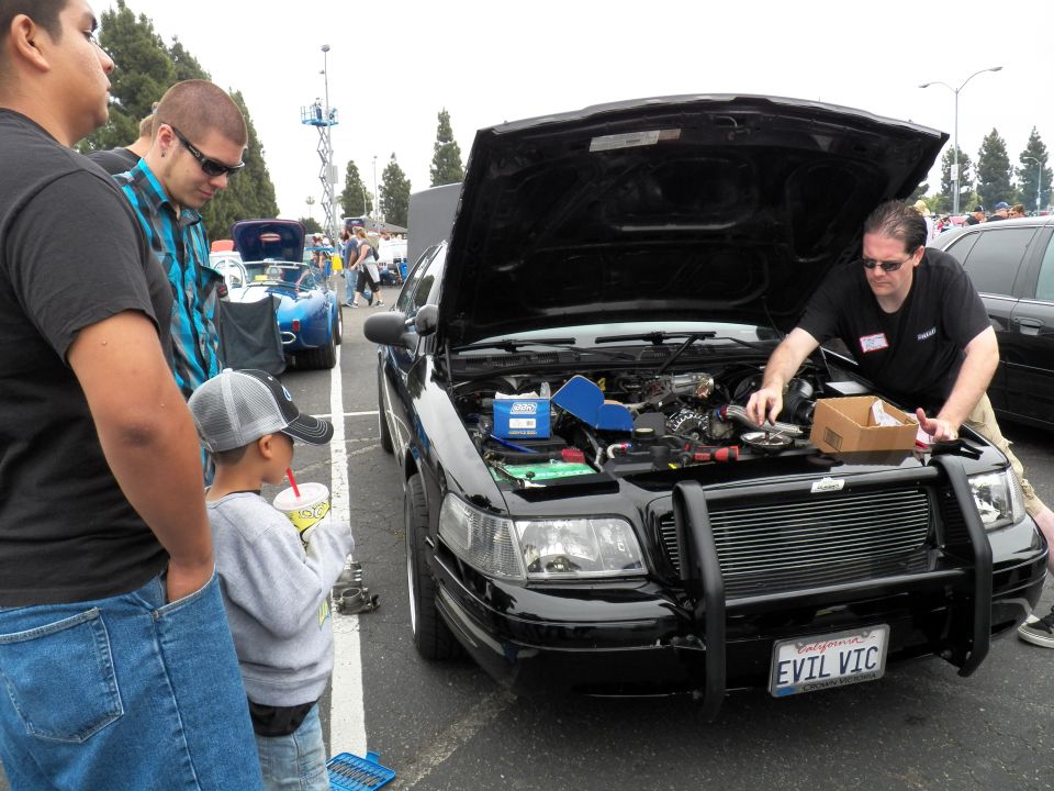 Family viewing engine of black sedan with EVIL VIC plate as man works on it
