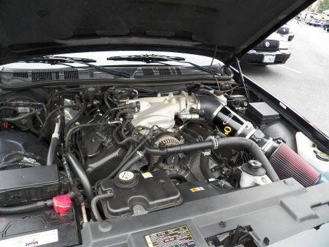 2003 Ford Crown Victoria - Detailed view of a modified V8 engine featuring a black intake tube and red conical filter under raised hood