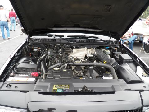2003 Ford Crown Victoria - Open engine compartment of a black Mercury showing a V8 with intake plenum and coolant reservoir