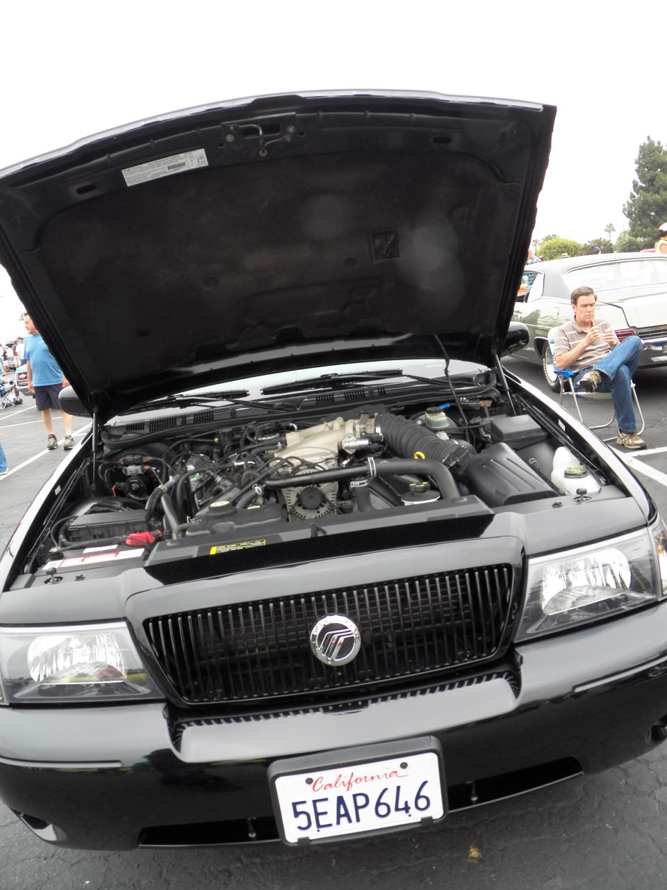 Black Mercury front with hood up, V8 visible, plate 5EAP646 at car show