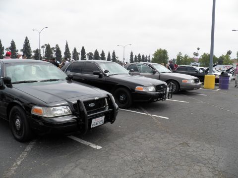 2003 Ford Crown Victoria - Angled row of Crown Victorias on cracked asphalt, lead black car shows California plate and push bar