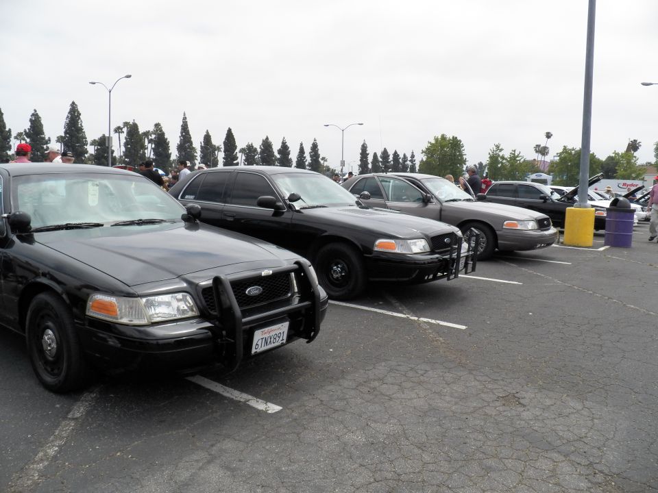 Lineup of black and gray Ford Crown Victoria sedans in parking lot