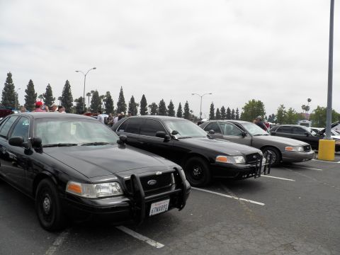2003 Ford Crown Victoria - Front black Crown Vic with push bar and California plate leads a row of Panther-platform sedans